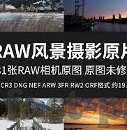 国外足球比分预测-洞察海外绿茵，国外足球比分预测的科学与艺术